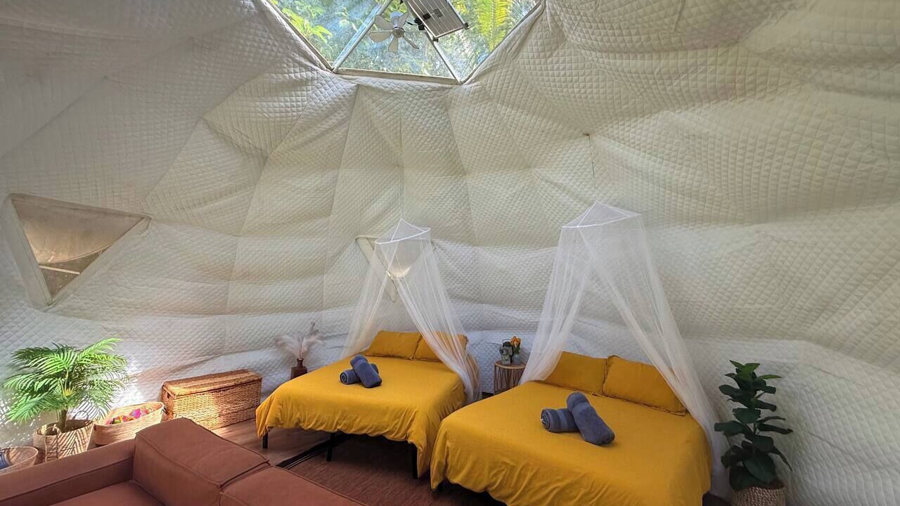 Photo of Others in Waa Waa