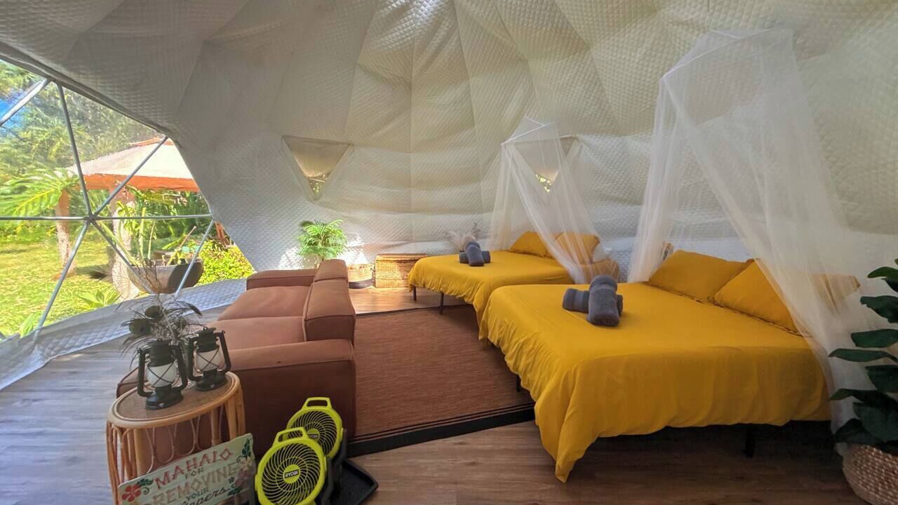 Photo of Others in Waa Waa