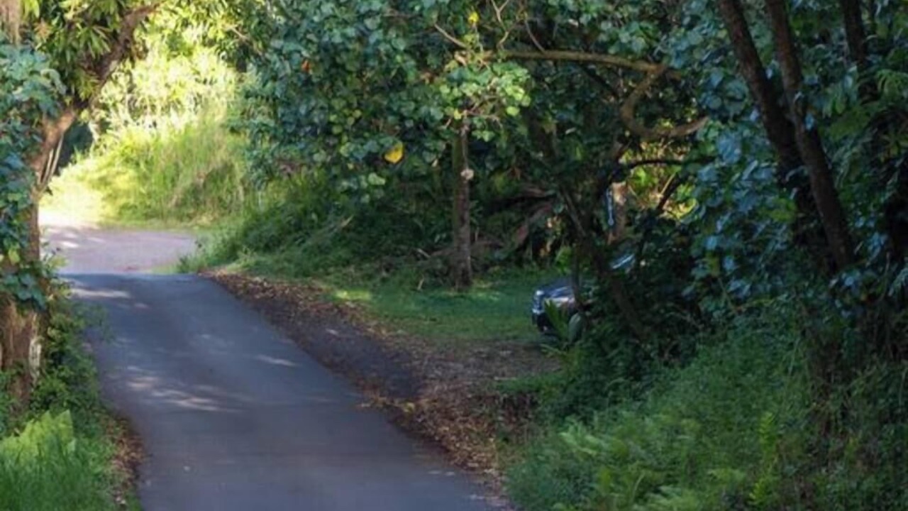 Photo of Others in Waa Waa