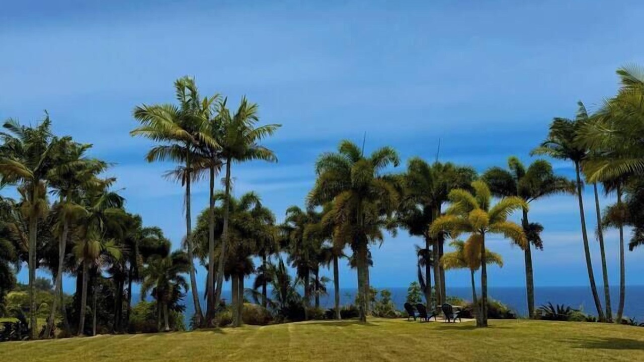 Photo of Others in Hakalau