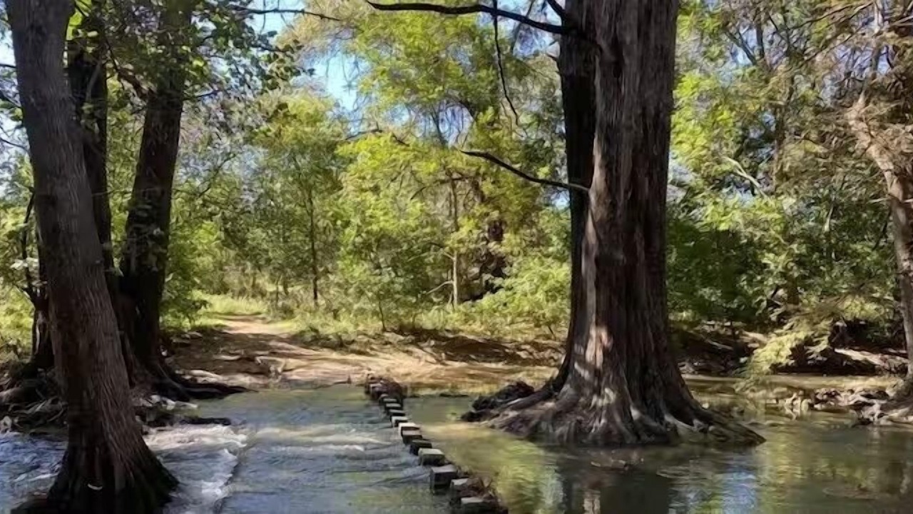 Photo of Others in Boerne