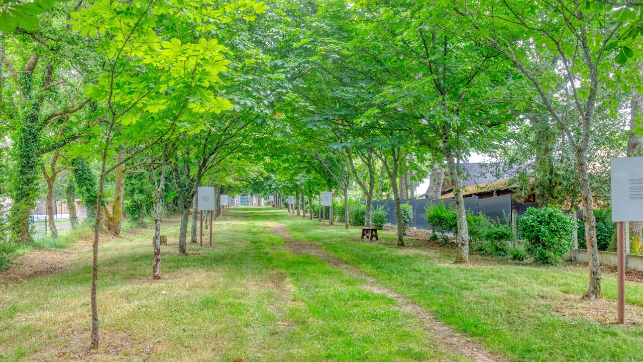 Photo of Outdoor in Sainte-Reine-de-Bretagne