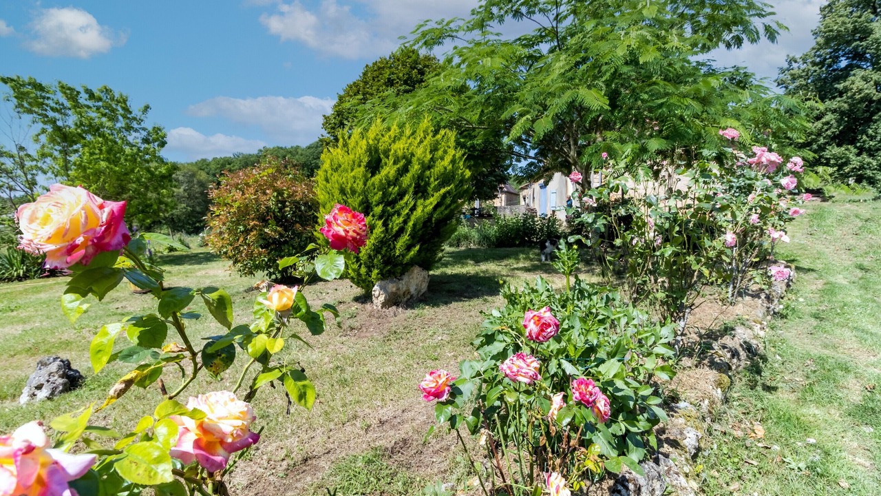 Photo of Outdoor in Sainte-Foy-de-Longas