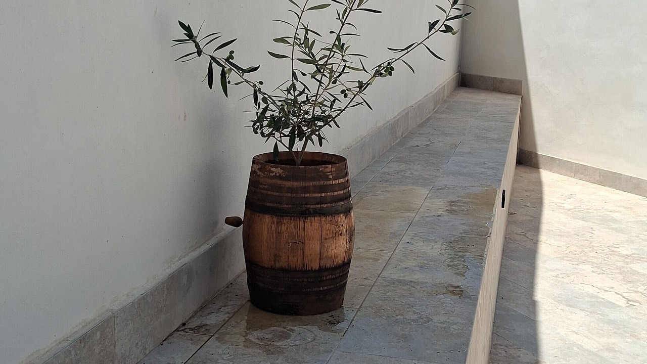 Photo of Outdoor in Castalla