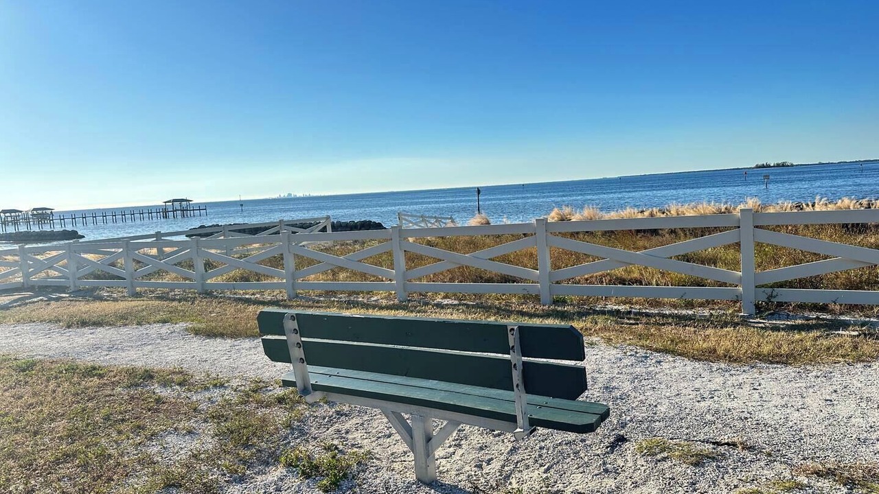 Photo of Others in Apollo Beach