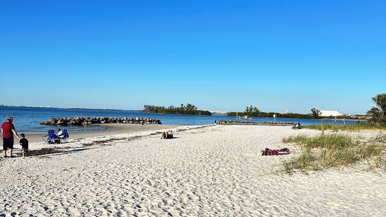 Photo of Others in Apollo Beach