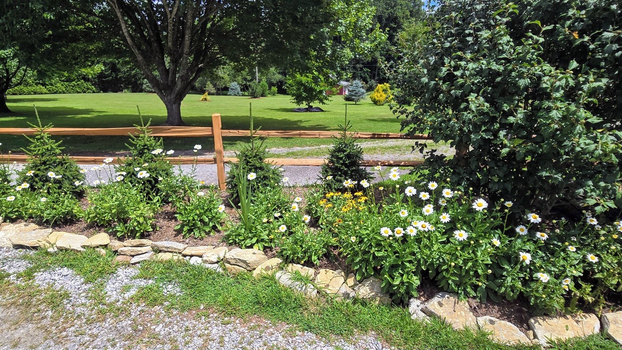 Photo of Outdoor in Hendersonville