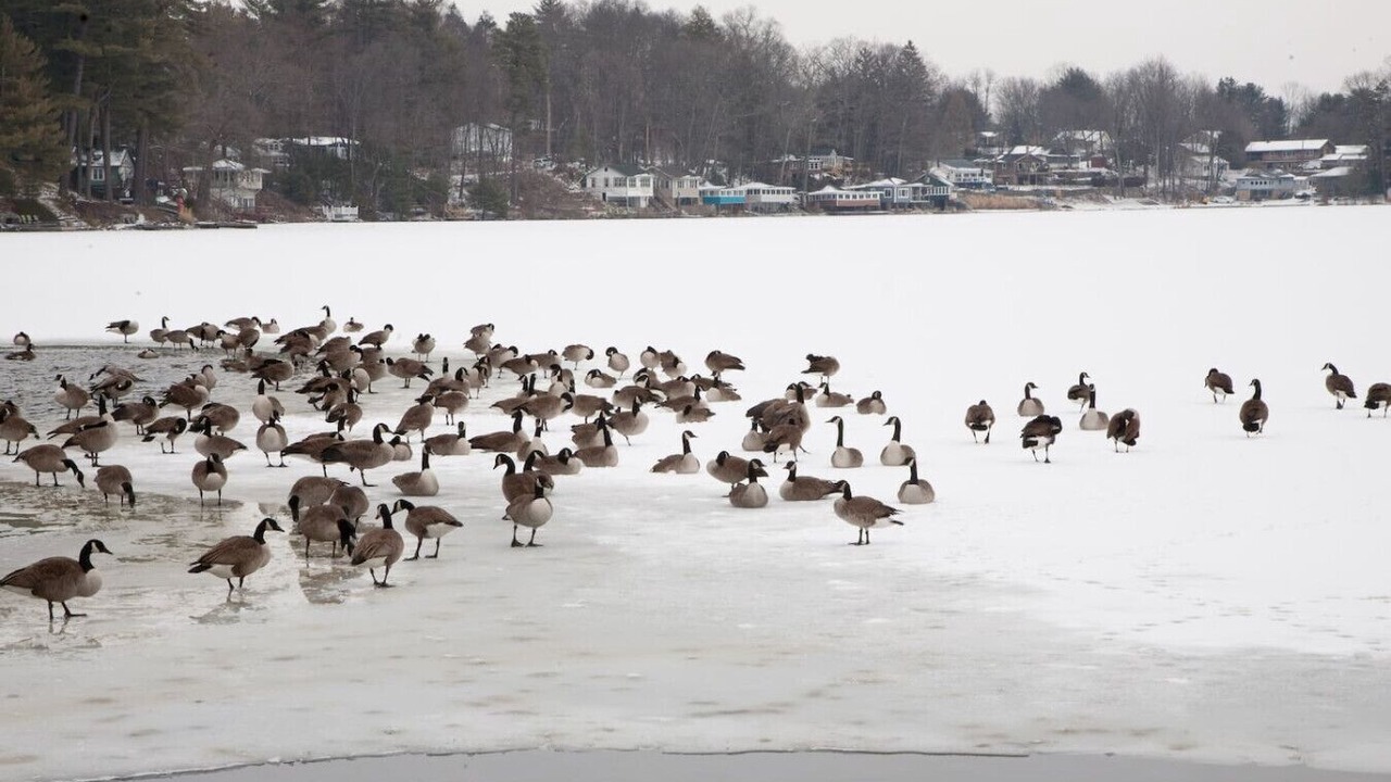 Photo of Others in Saylorsburg