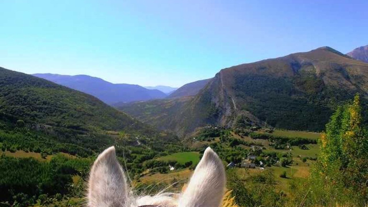 Photo of Others in La Roche-des-Arnauds