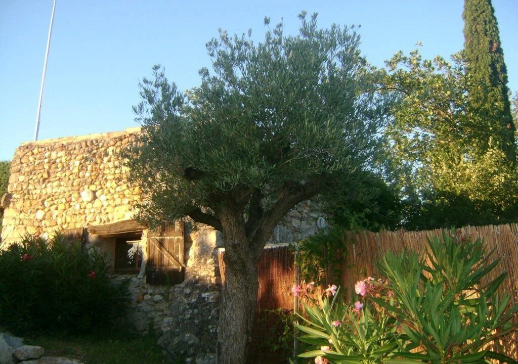 Photo of Outdoor in Rochegude