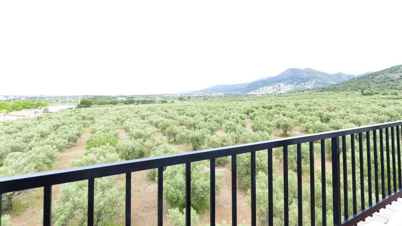 Photo of Patio Balcony in El Mas Oliva