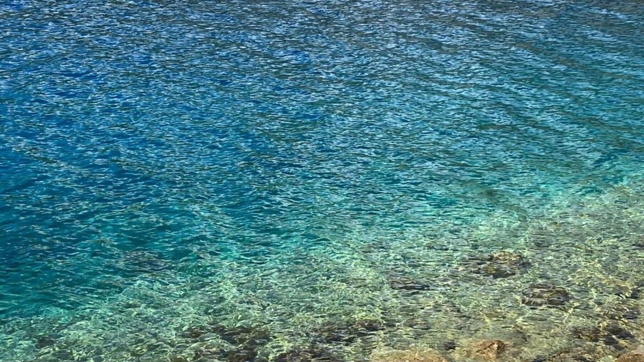 Photo of Others in Baric Draga