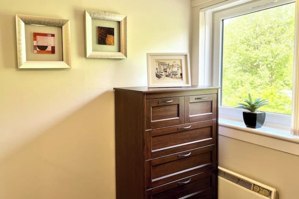 Photo of Others in Springburn