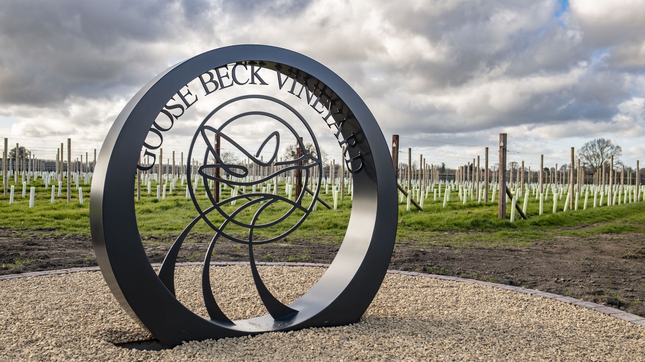 Photo of Others in York