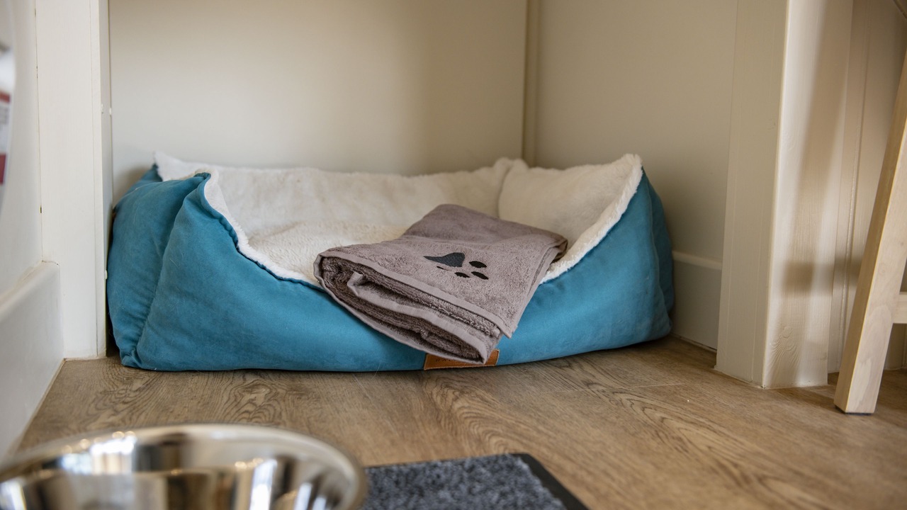 Photo of Others in York