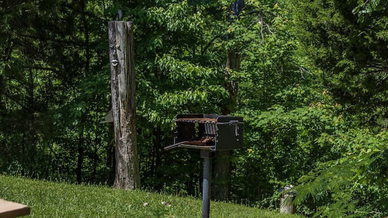 Photo of Outdoor in Sevierville