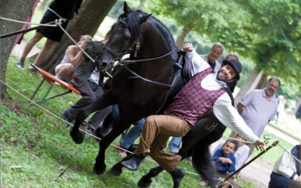 Photo of Others in La Barre-en-Ouche