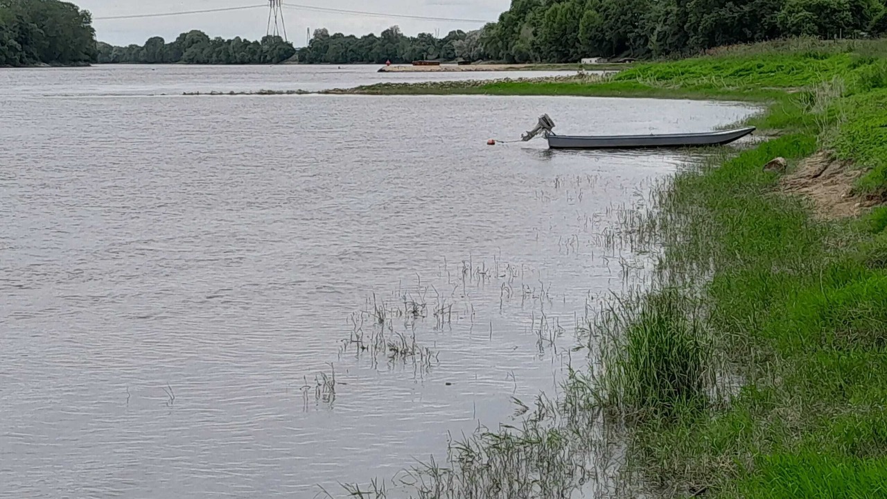 Photo of Others in Le Fresne-sur-Loire