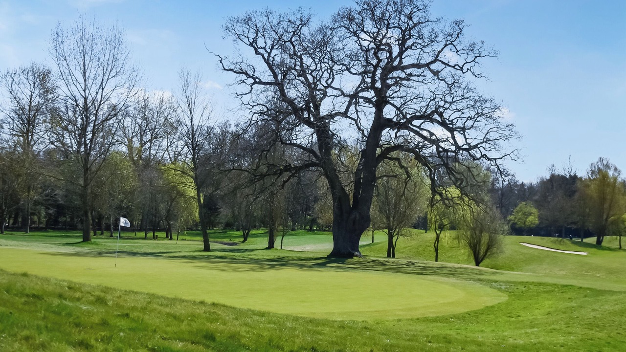 Photo of Others in Dunston