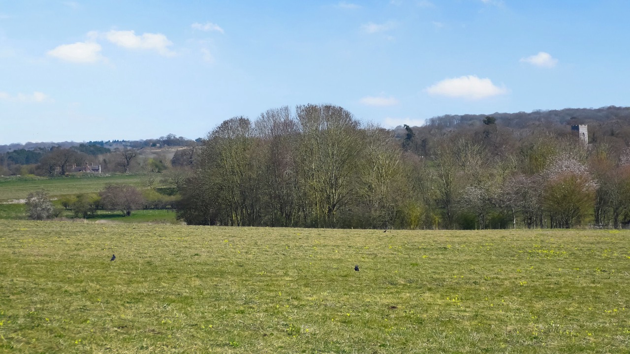 Photo of Others in Dunston