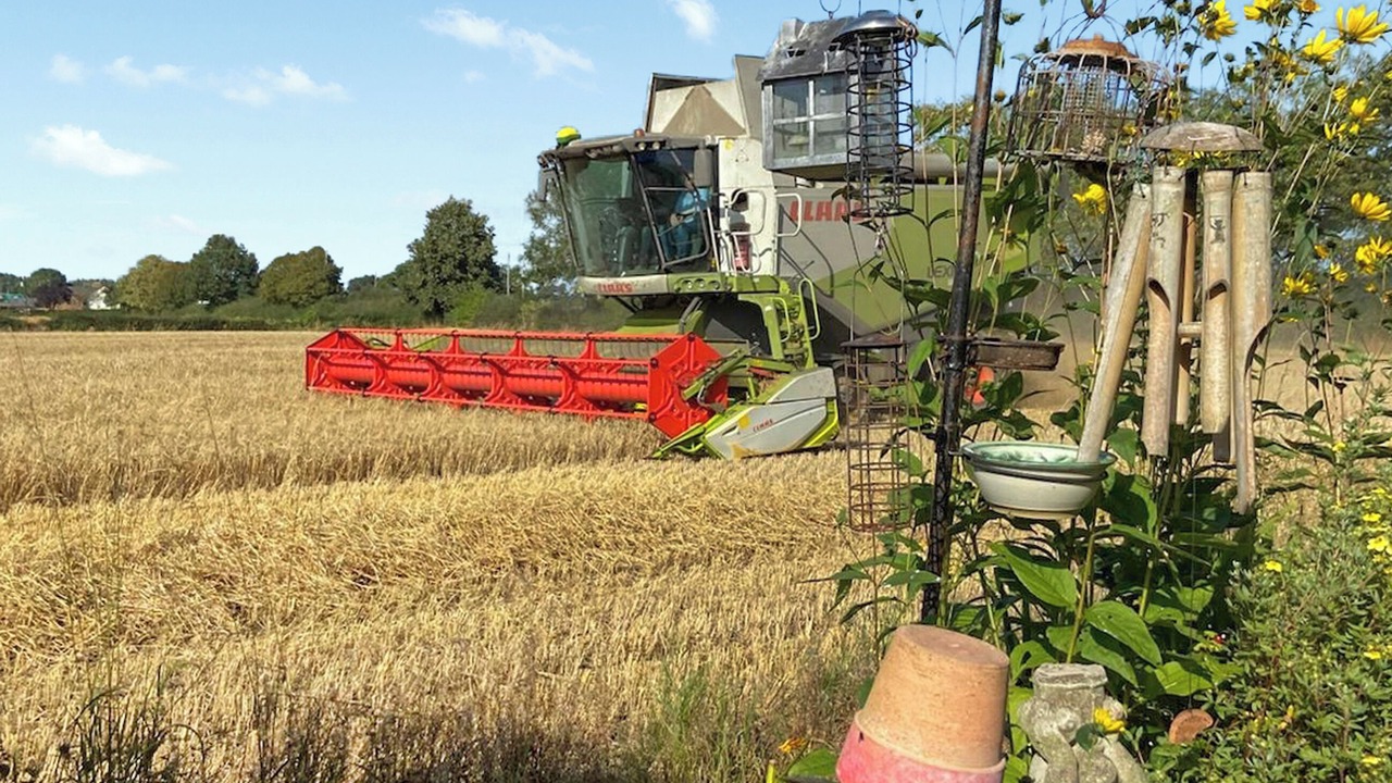 Photo of Others in Knutsford