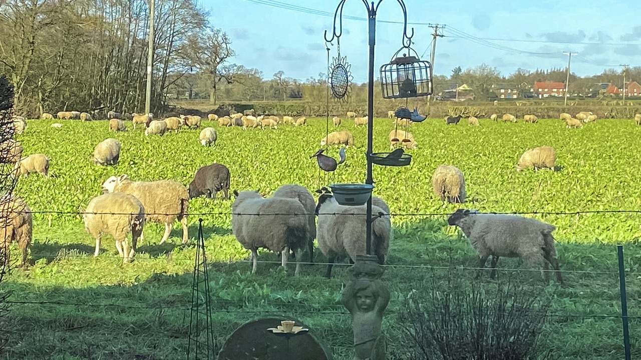 Photo of Others in Knutsford