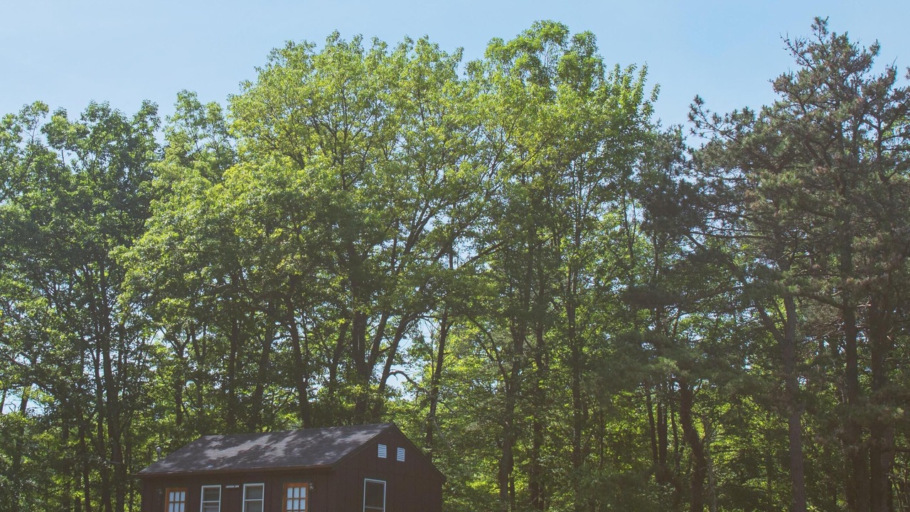 Photo of Outdoor in Columbia