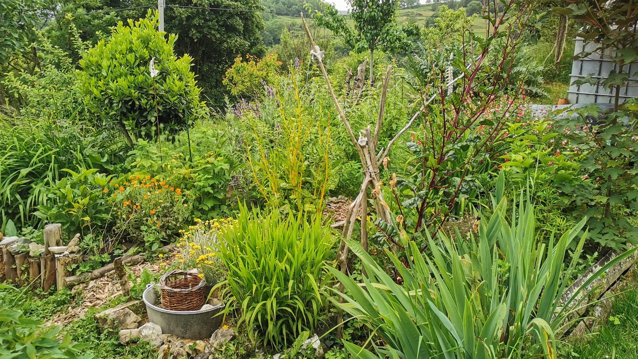 Photo of Outdoor in La Bastide-de-Serou