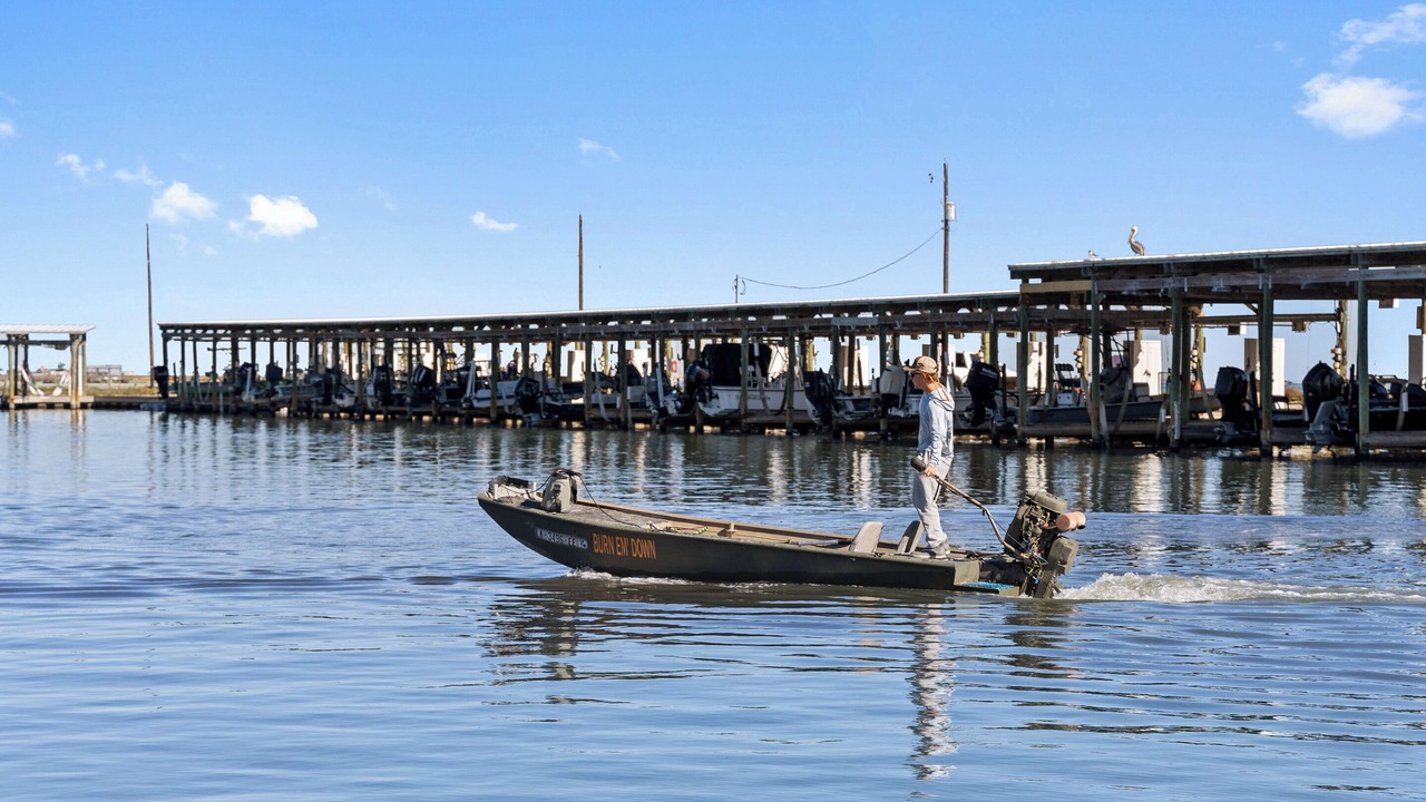 Photo of Others in Flour Bluff