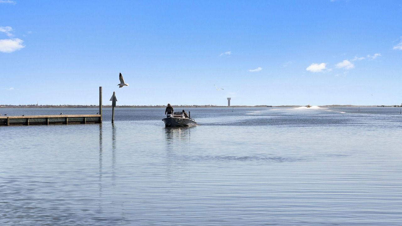 Photo of Others in Flour Bluff