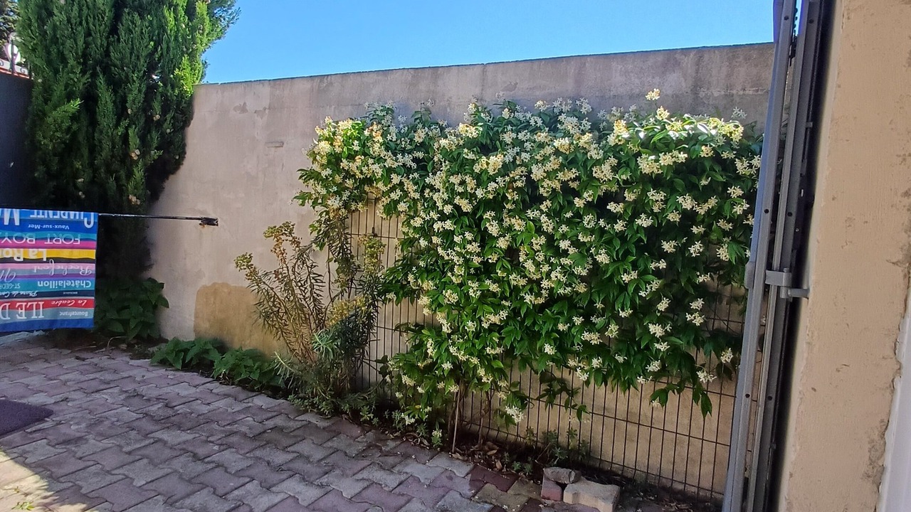 Photo of Outdoor in Armissan