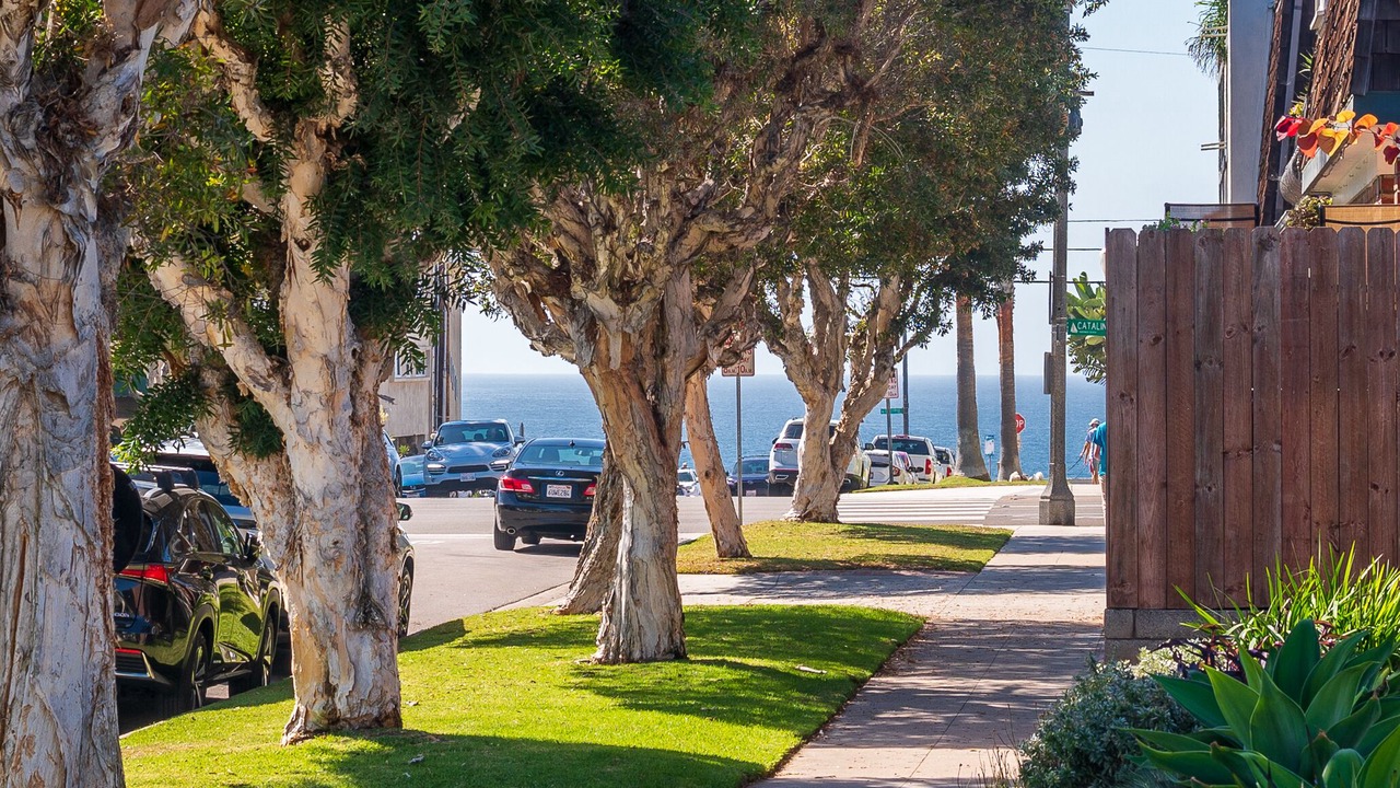 Photo of Outdoor in South Redondo