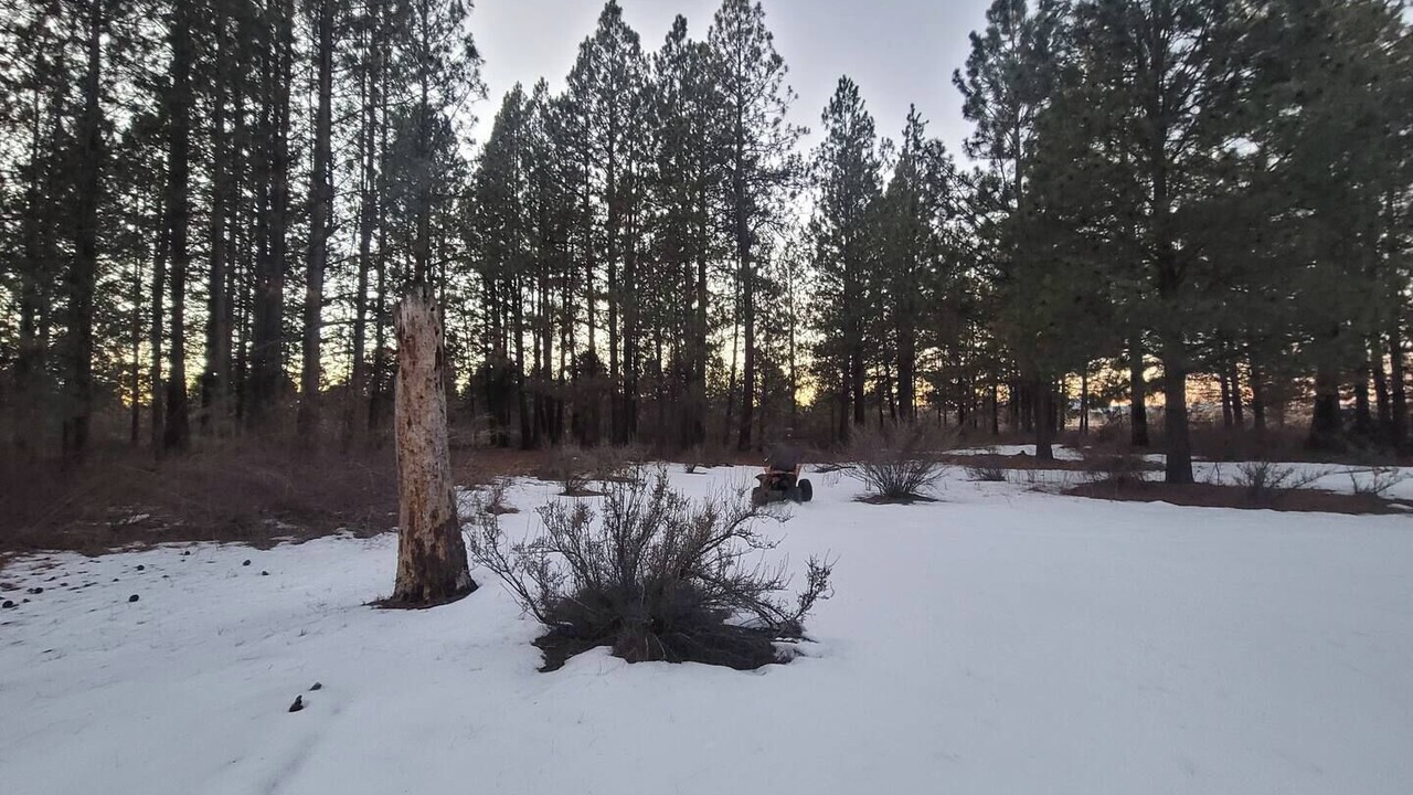 Photo of Others in Chiloquin