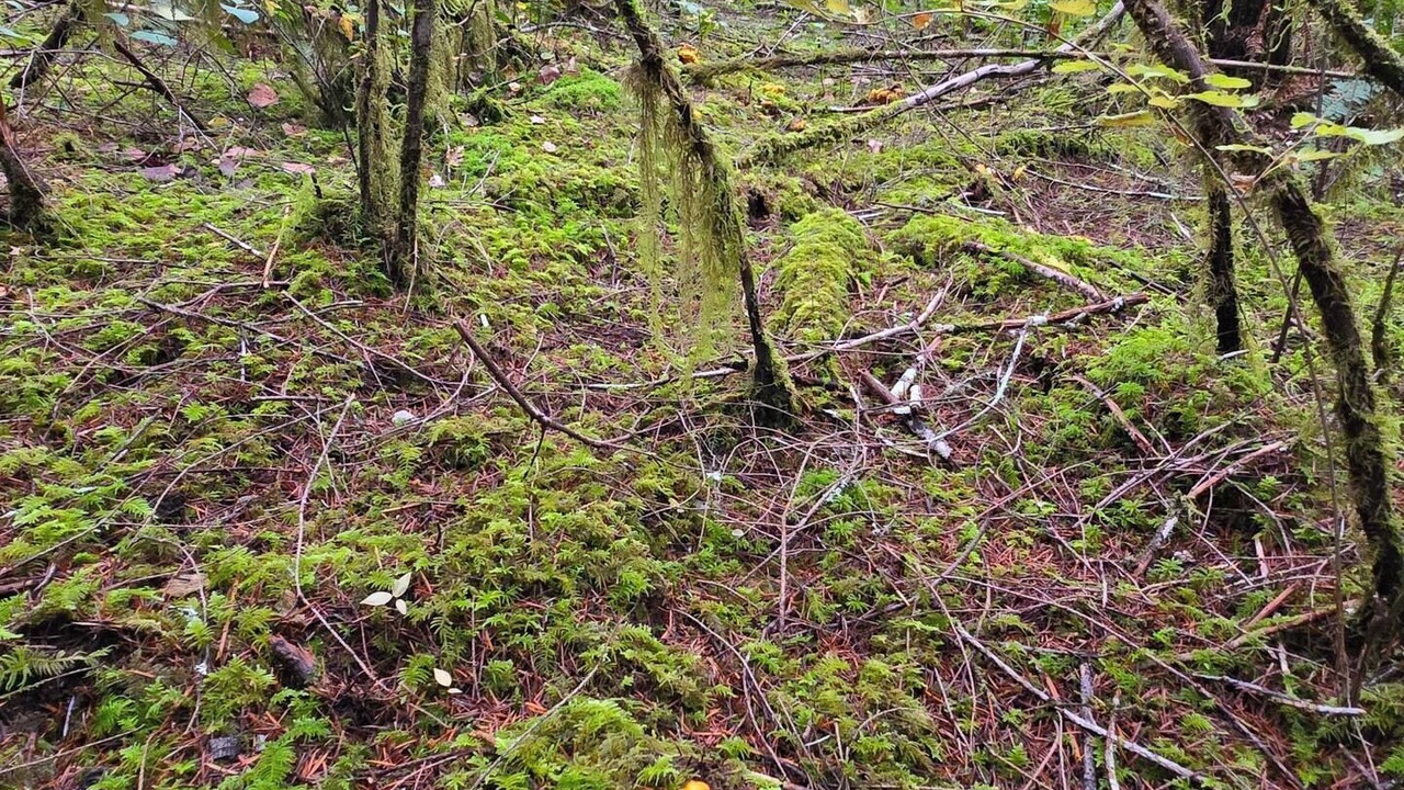 Photo of Others in Chiloquin