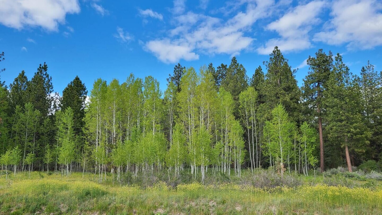 Photo of Others in Chiloquin