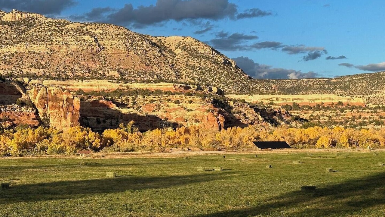Photo of Others in Cortez