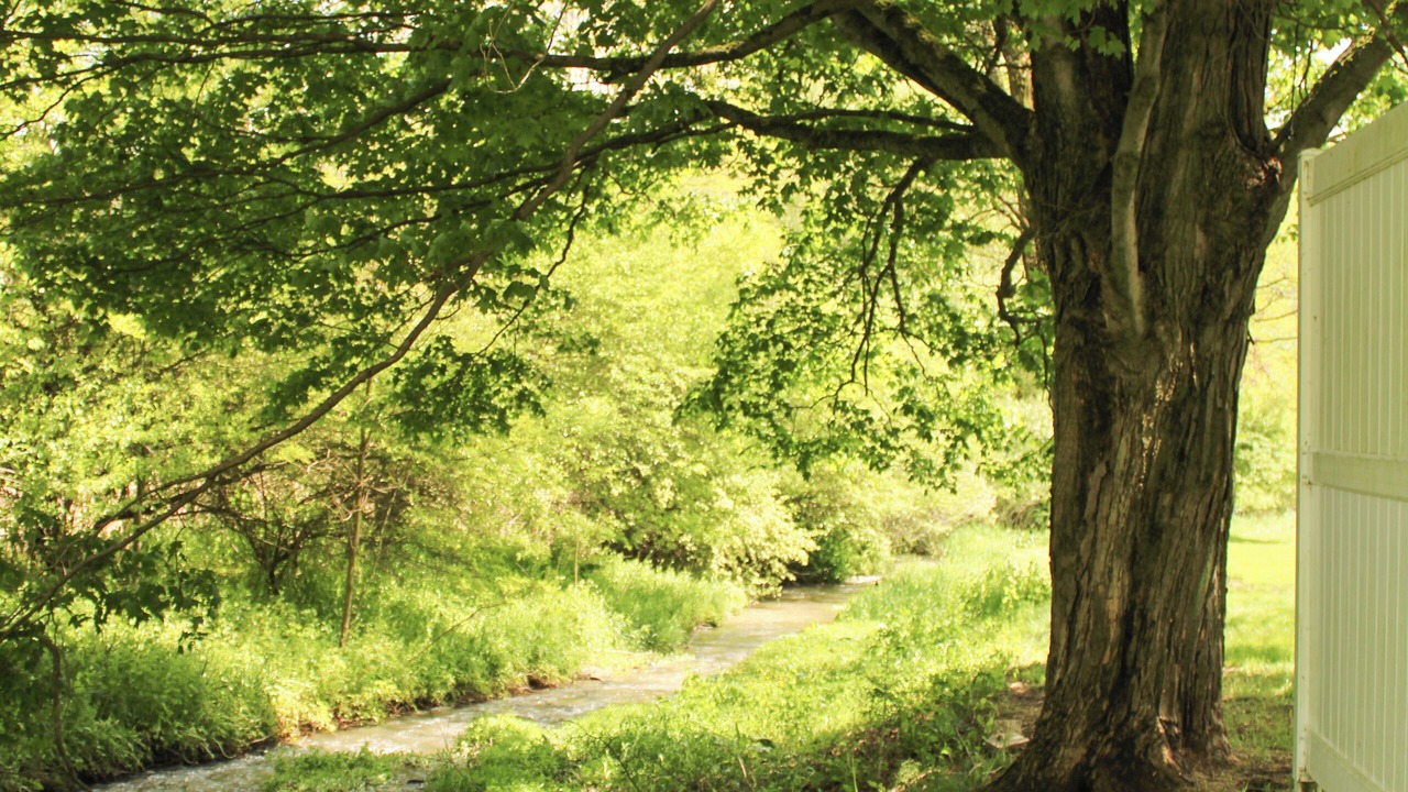 Photo of Outdoor in Allegany