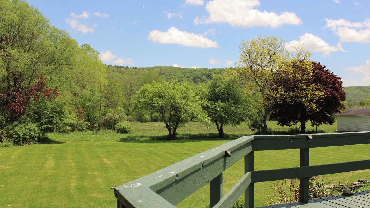 Photo of Outdoor in Allegany