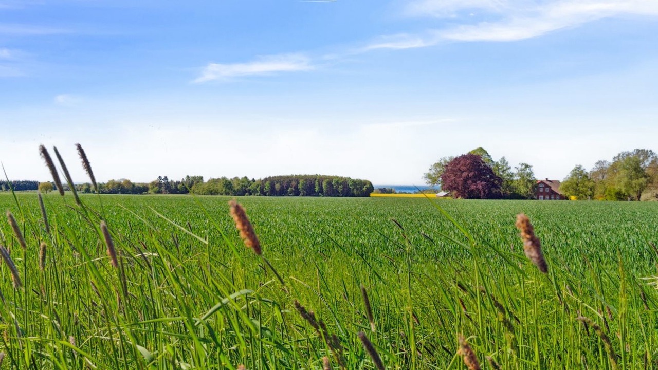 Photo of Outdoor in Akirkeby