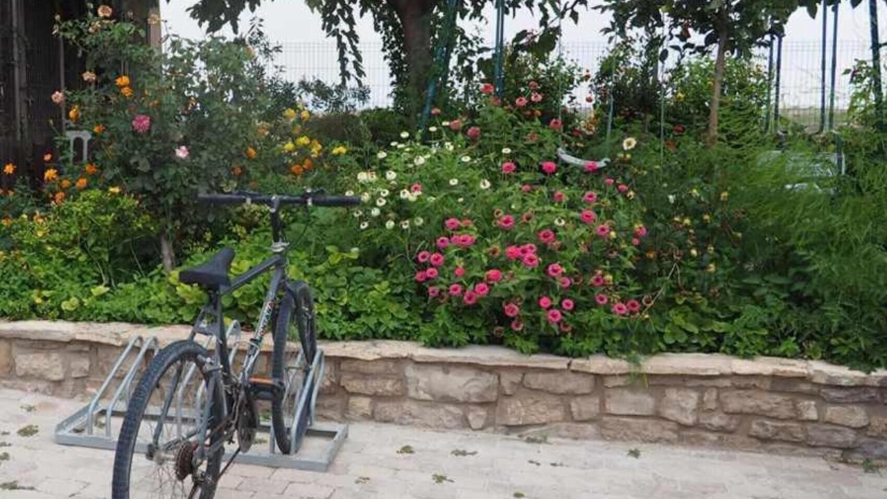 Photo of Outdoor in Verdu