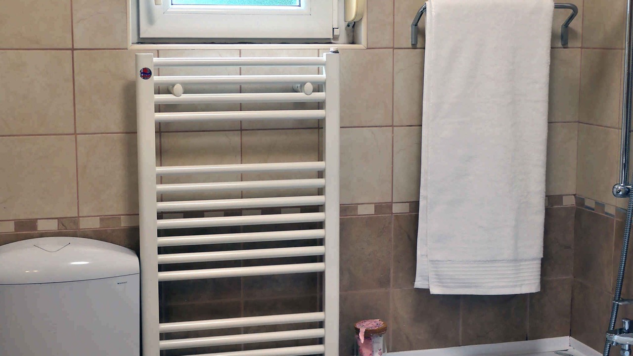 Photo of Bathroom in Buzdohanj