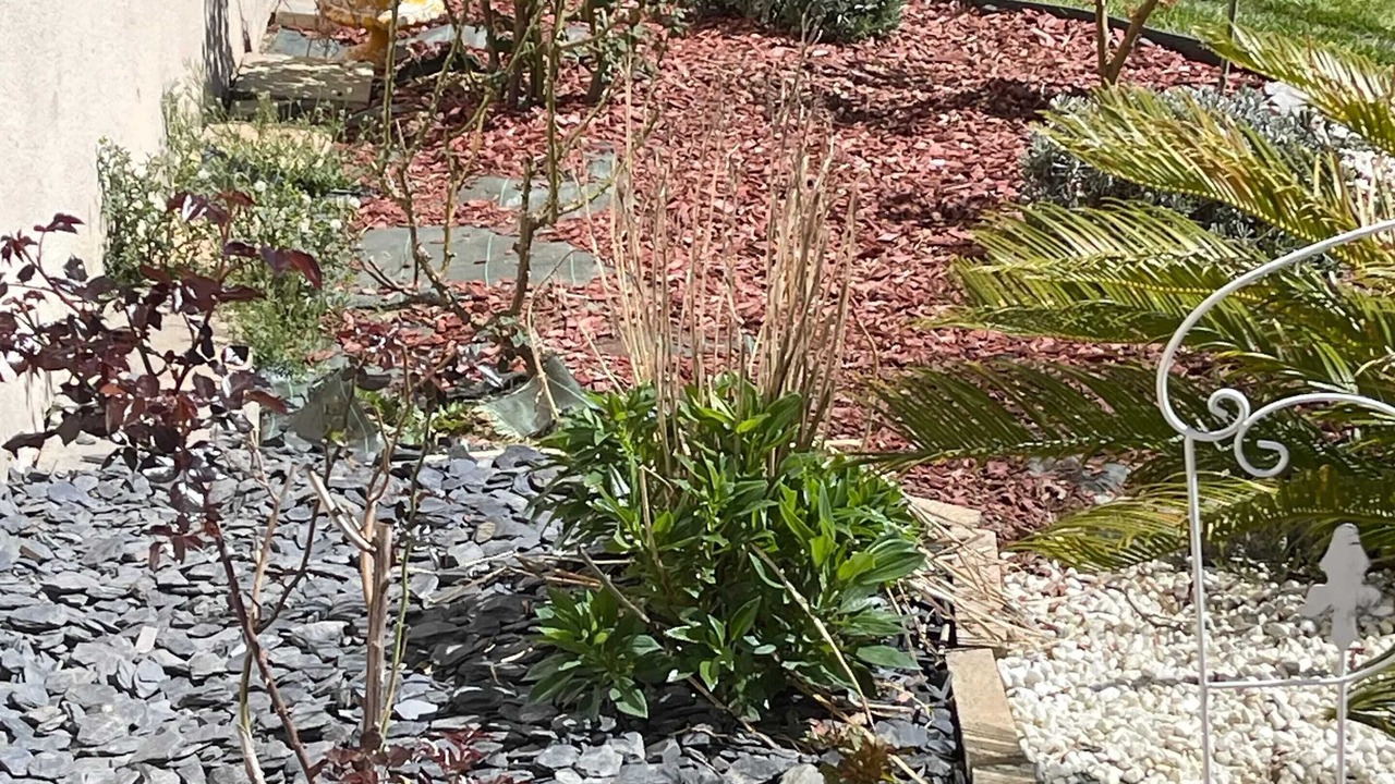 Photo of Outdoor in Saint-Laurent-de-Neste