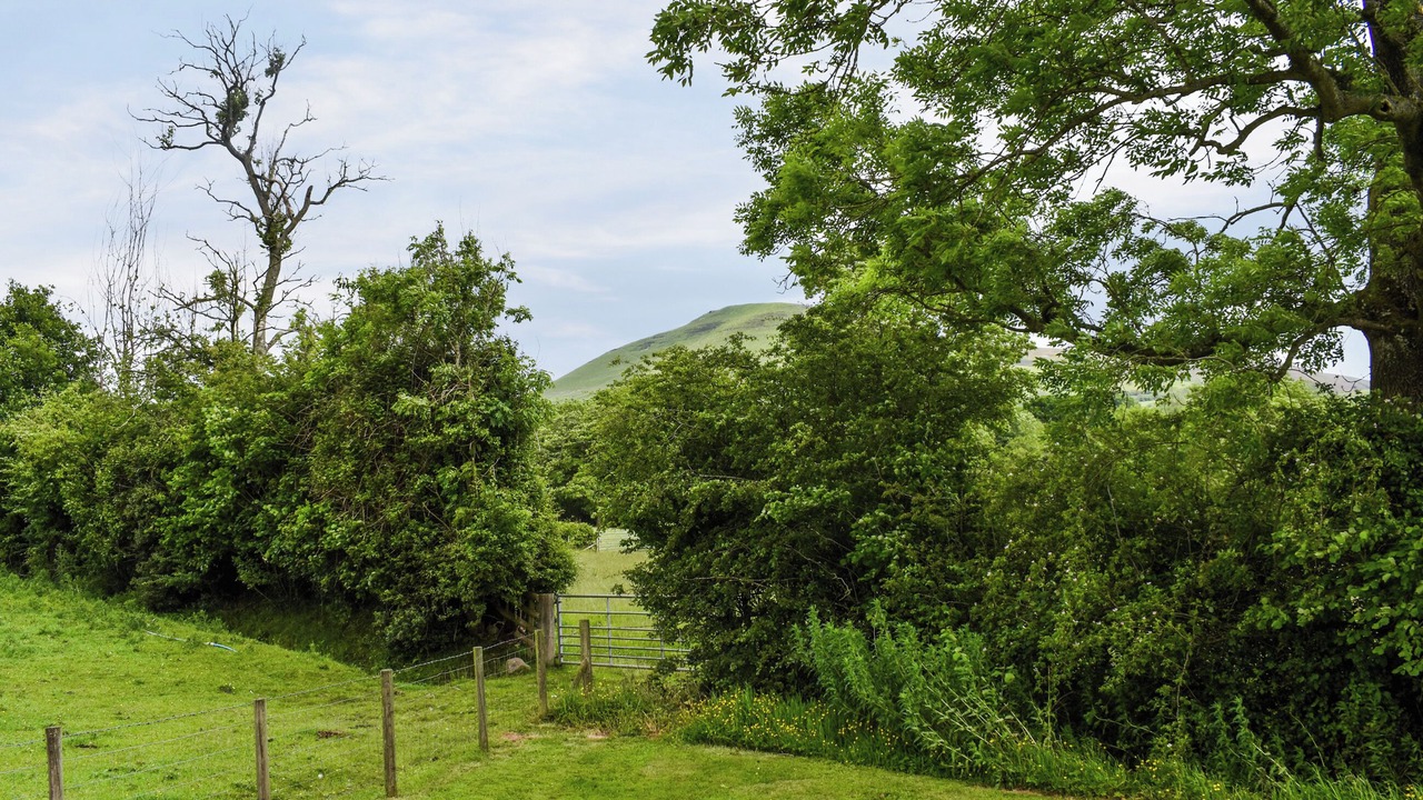 Photo of Outdoor in Llanfihangel Tal-y-llyn