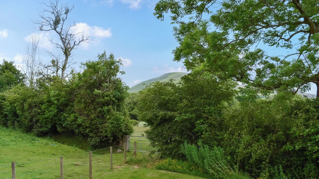 Photo of Others in Llanfihangel Tal-y-llyn