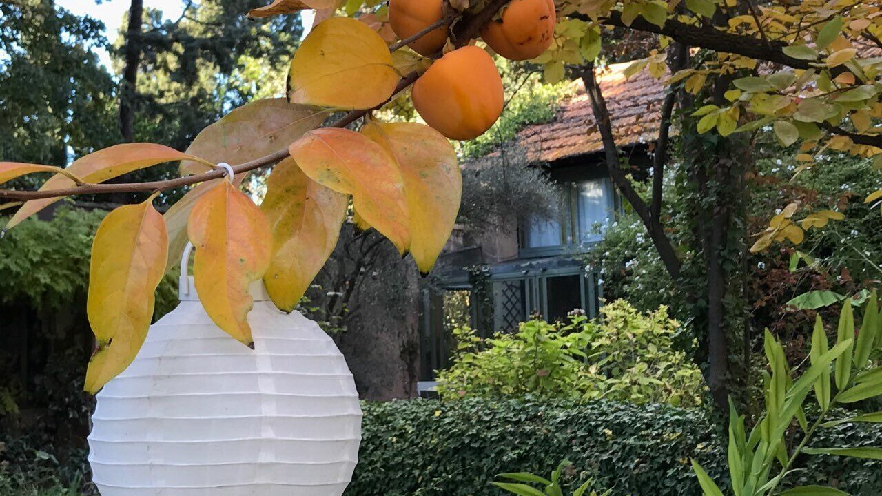 Photo of Outdoor in Arles