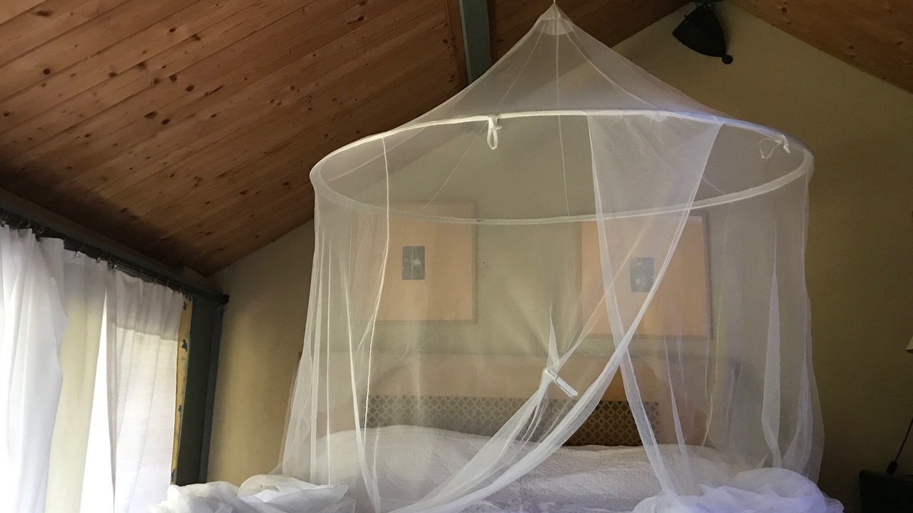 Photo of Bedroom in Arles
