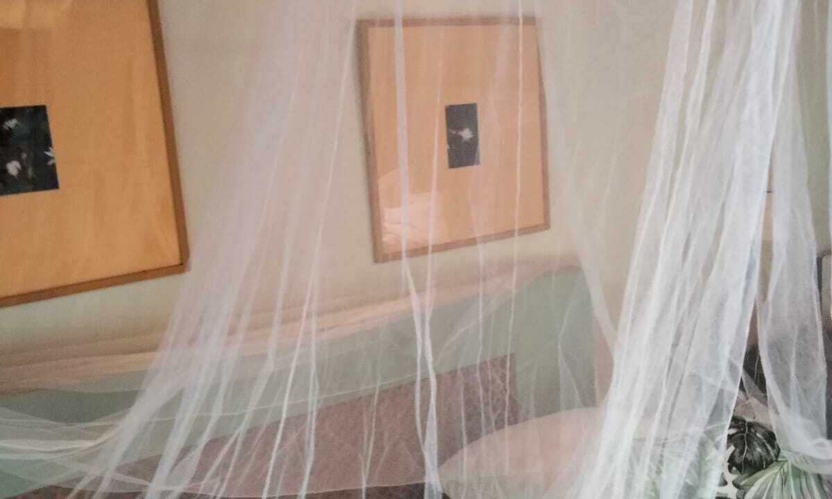 Photo of Bedroom in Arles