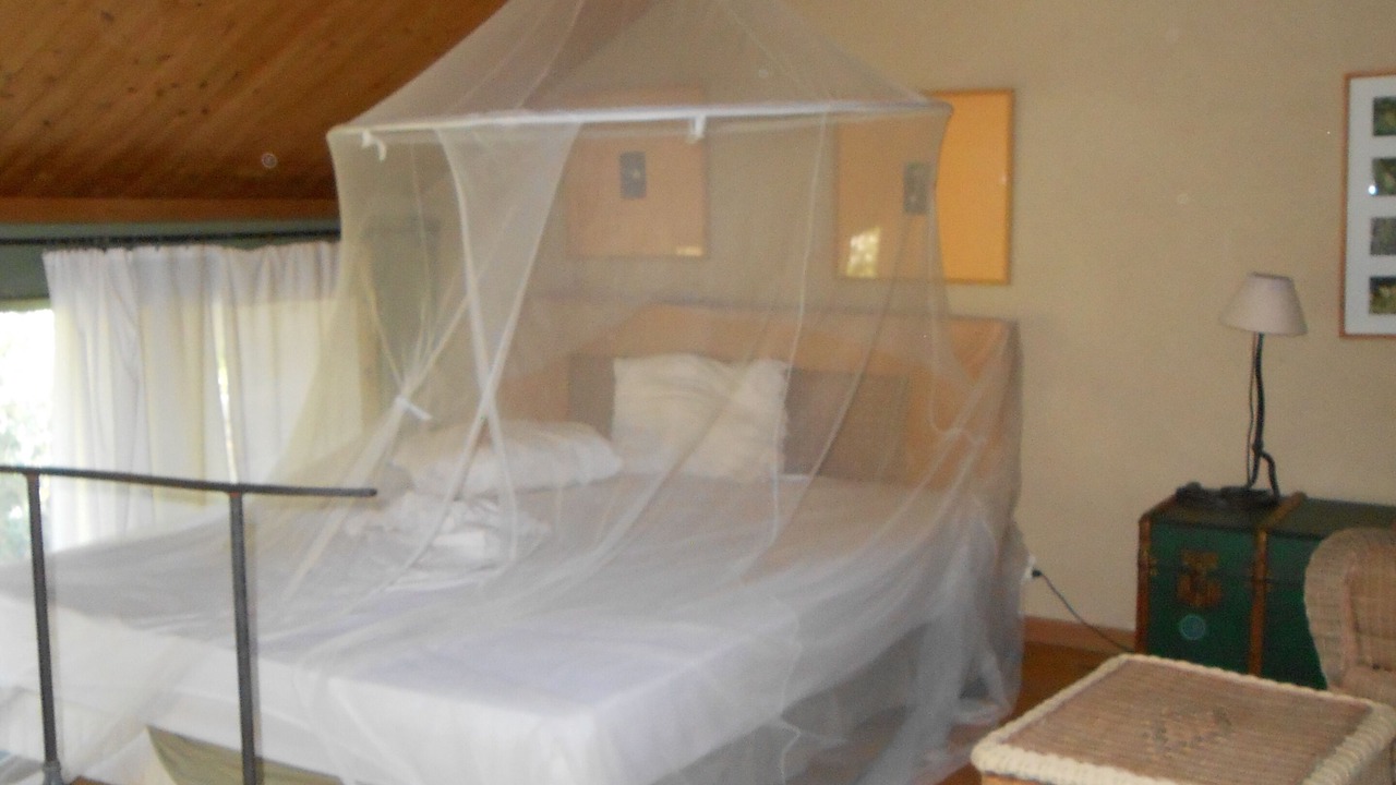 Photo of Bedroom in Arles