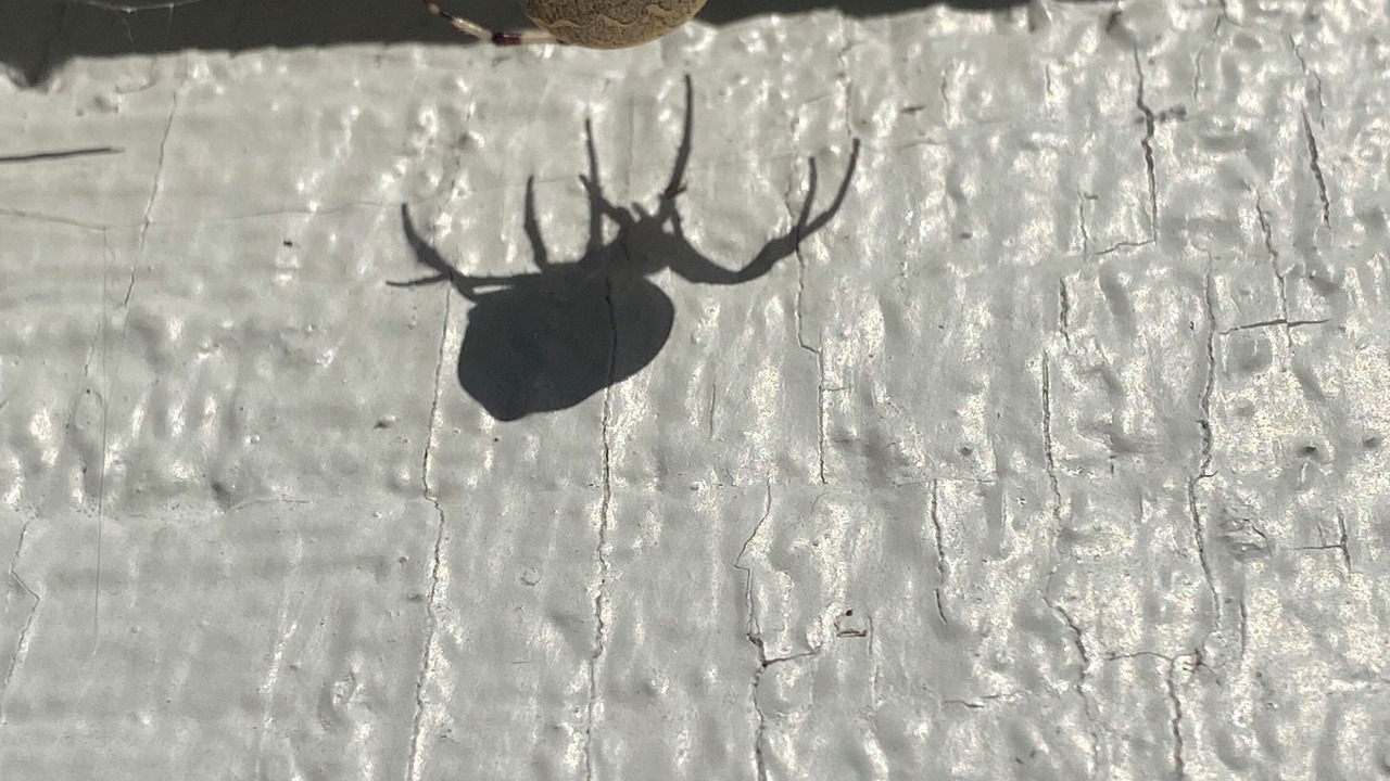 Photo of Others in Sutton-Alpine