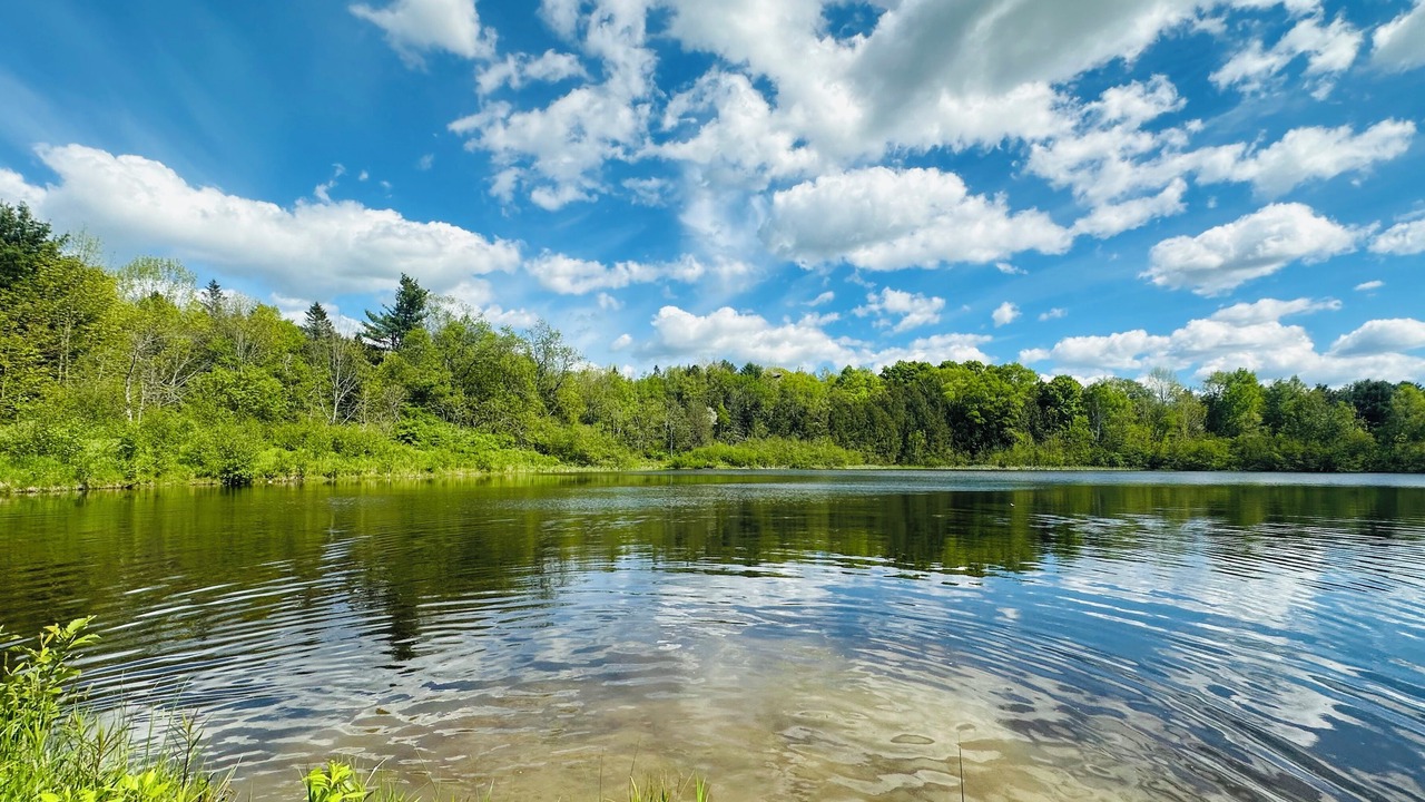 Photo of Others in Thorndike